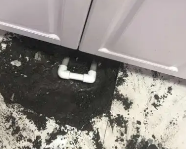 端州查漏水哪家好